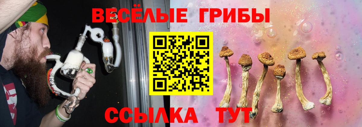 Галлюциногенные грибы Cubensis  купить   Вход с VPN  Гагарин  Галлюциногенные грибы Magic Shrooms 